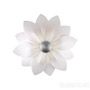 Иконка Kolarz 5231.60650 Wall Light FIORE, Leaf Silver, 82/20 Настенный светильник