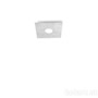 Иконка Kolarz A1337.11.1.Ag Ceiling Light SQUARE, Leaf Silver, 25/25 Потолочный светильник